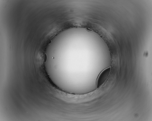 X0000103230043200808281441