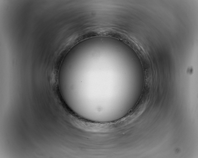 X0000103230044200808281441