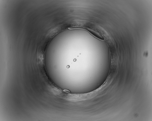 X0000103230045200808281441