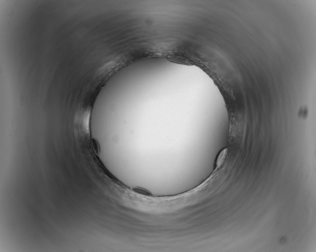 X0000103230047200808281441