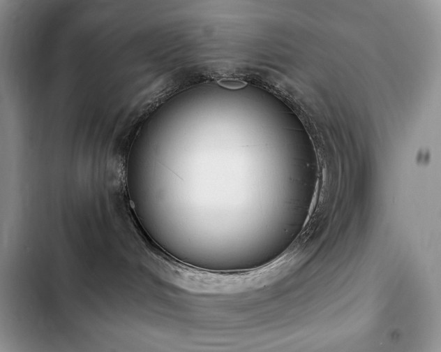 X0000103230048200808281441