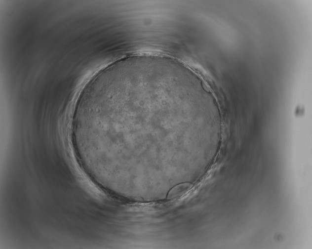 X0000103230049200808281440