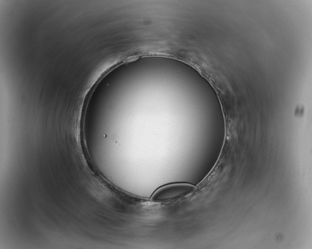 X0000103230052200808281440
