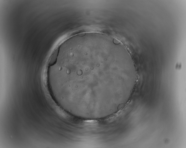 X0000103230053200808281440