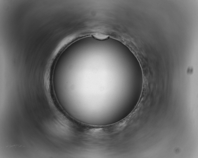 X0000103230054200808281440