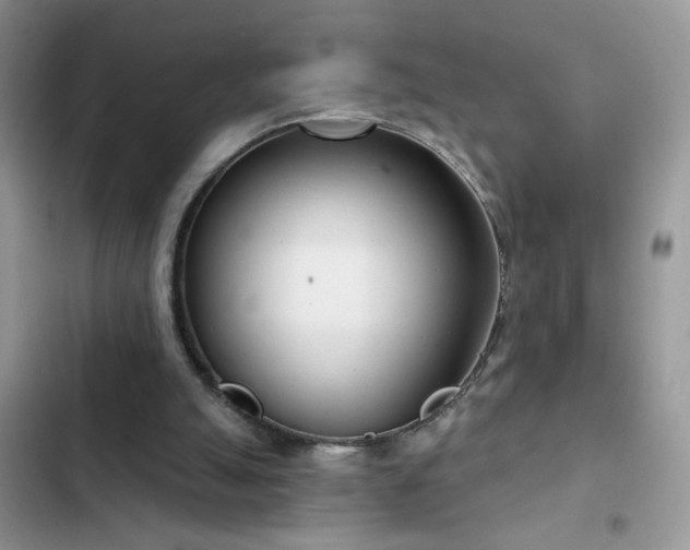 X0000103230055200808281440