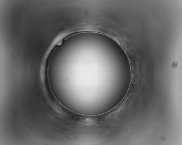 X0000103230056200808281440