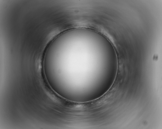 X0000103230059200808281440
