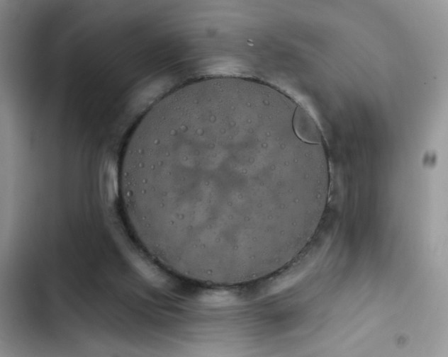 X0000103230061200808281440