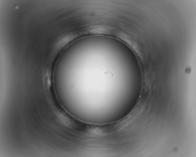 X0000103230062200808281440