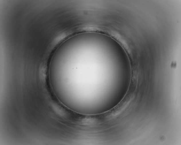 X0000103230063200808281440