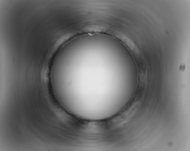 X0000103230064200808281440