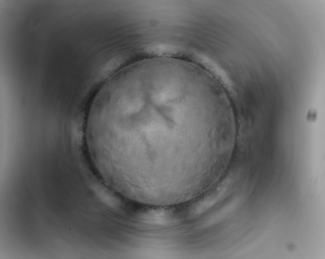 X0000103230065200808281440