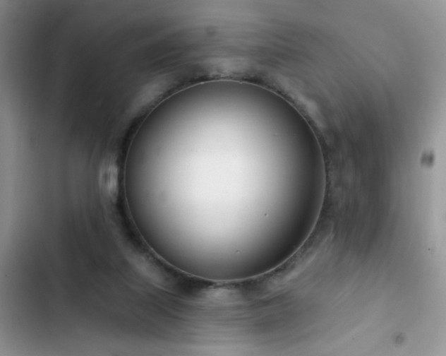 X0000103230067200808281440