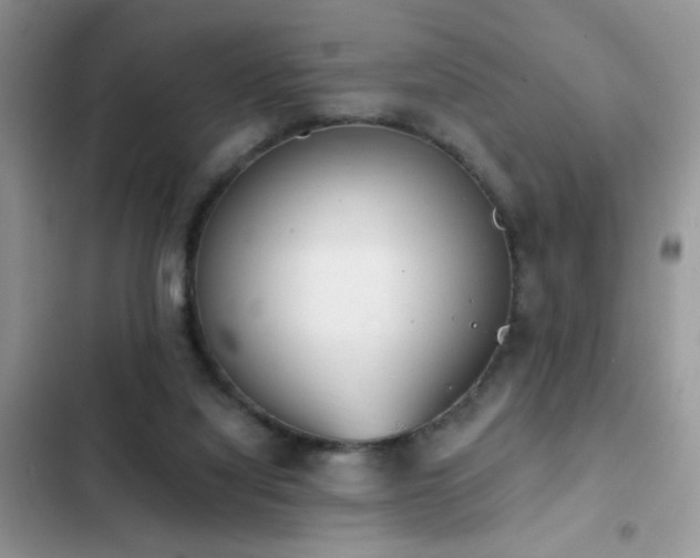 X0000103230068200808281440