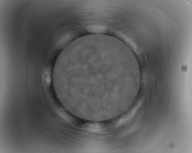 X0000103230069200808281440