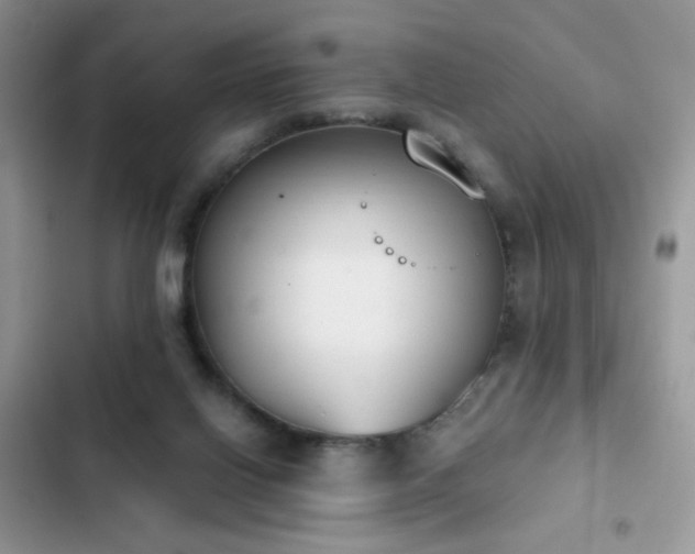 X0000103230070200808281440