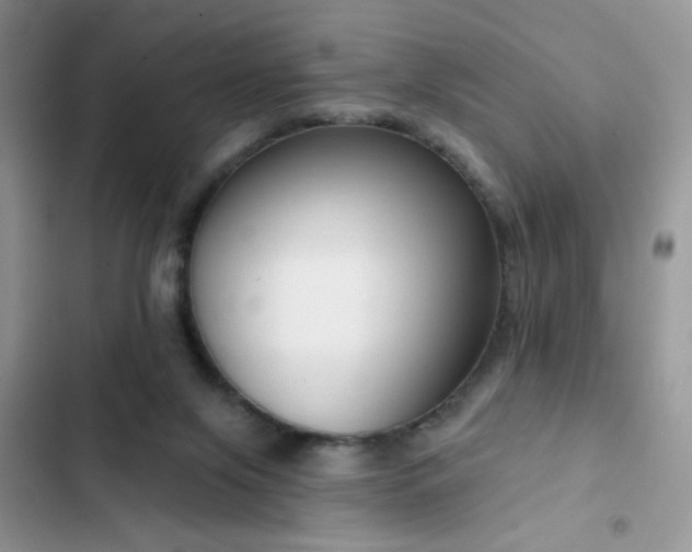 X0000103230071200808281440