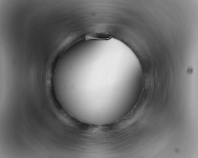X0000103230072200808281440