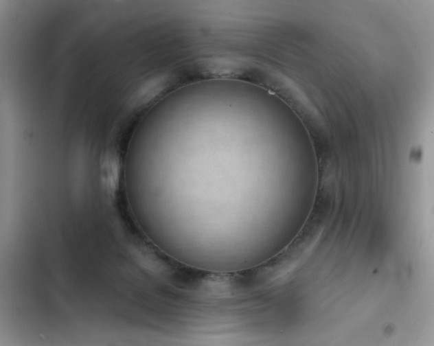 X0000103230076200808281440