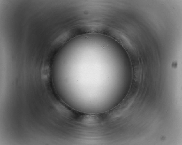 X0000103230077200808281440