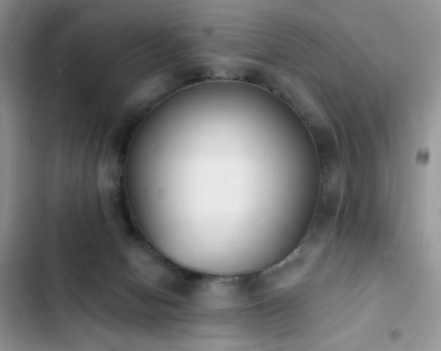 X0000103230078200808281440