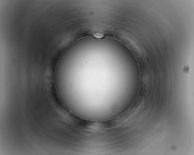 X0000103230079200808281440