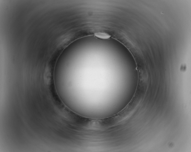 X0000103230080200808281440