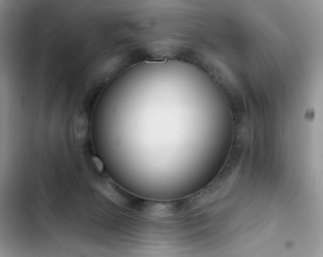 X0000103230081200808281440