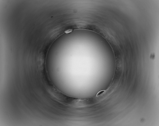 X0000103230082200808281440