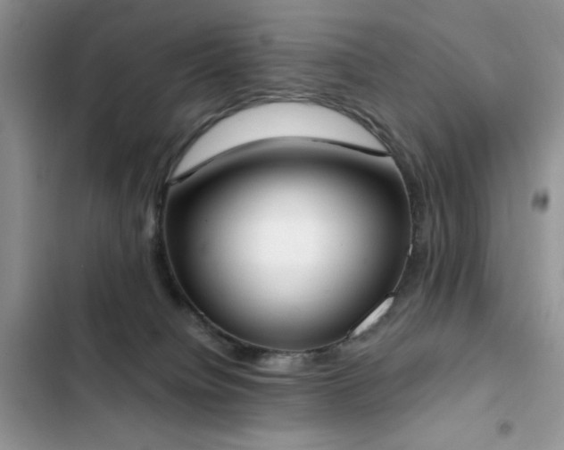 X0000103230084200808281440