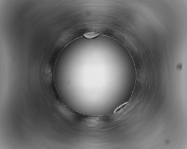 X0000103230086200808281440