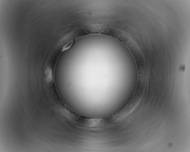X0000103230089200808281440