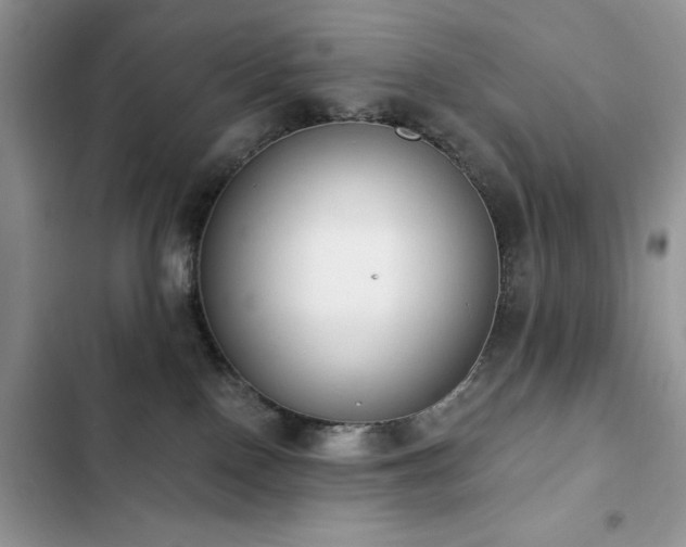 X0000103230090200808281440