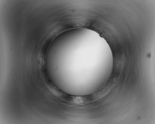 X0000103230091200808281440
