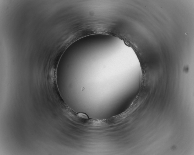 X0000103230093200808281440