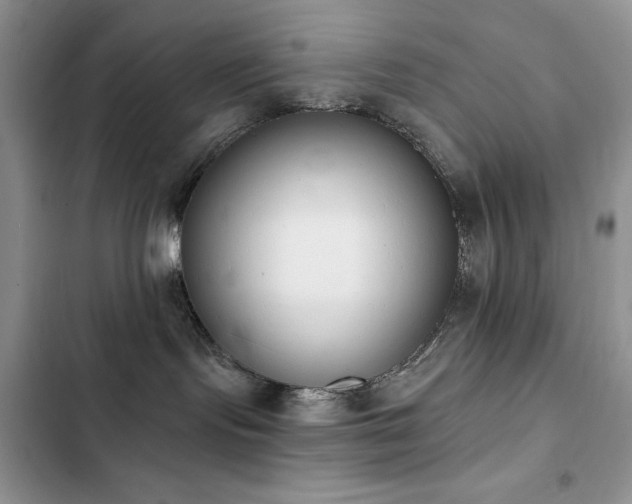 X0000103230095200808281440