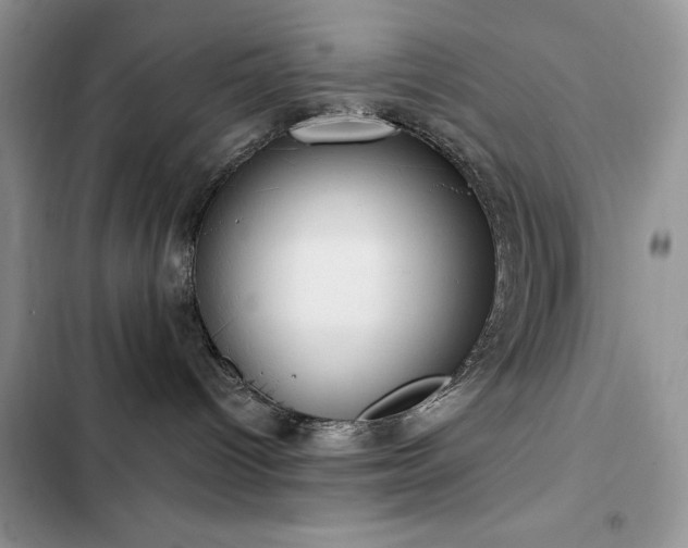 X0000103230096200808281441