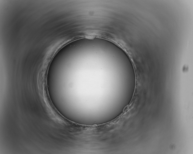 X0000103230097200808281440