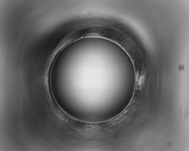X0000103230099200808281440