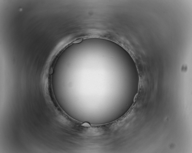 X0000103230101200808281440
