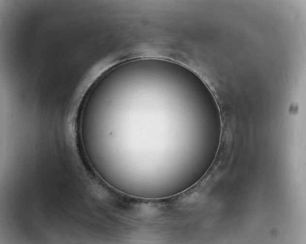 X0000103230103200808281440