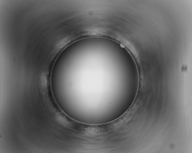 X0000103230105200808281440