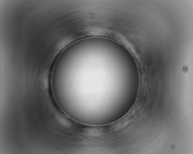 X0000103230106200808281440