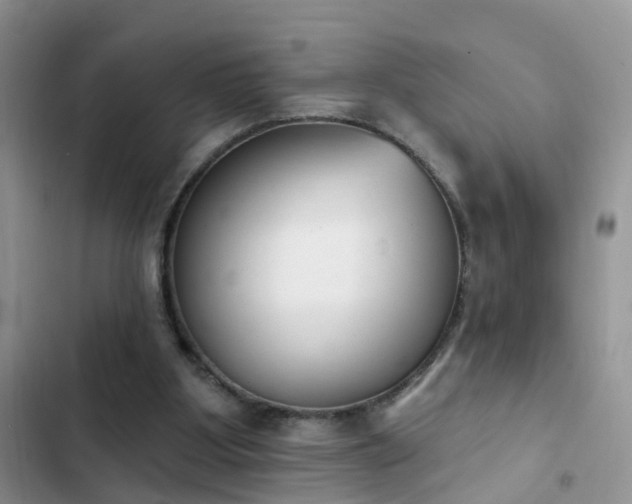 X0000103230107200808281440