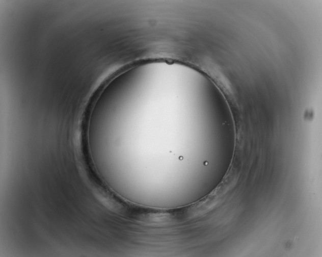 X0000103230108200808281440