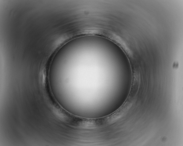 X0000103230110200808281440