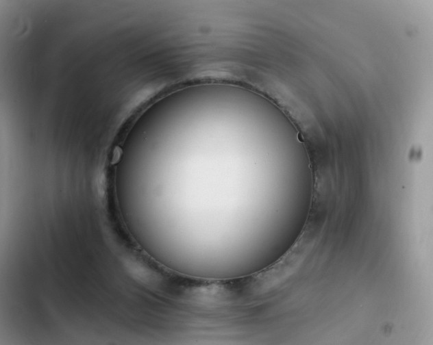X0000103230112200808281440