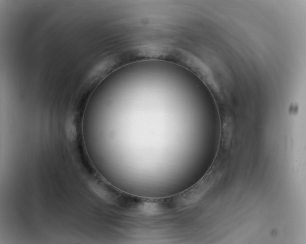 X0000103230114200808281440