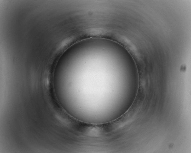 X0000103230115200808281440